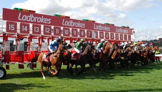 Celebrating the 100th running of the Cox Plate
