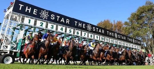 Platinum Starting Gate championships day