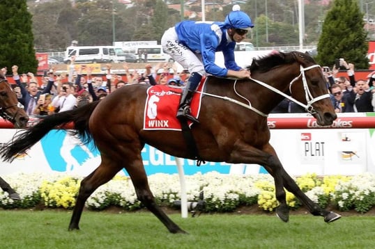 Winx cox plate