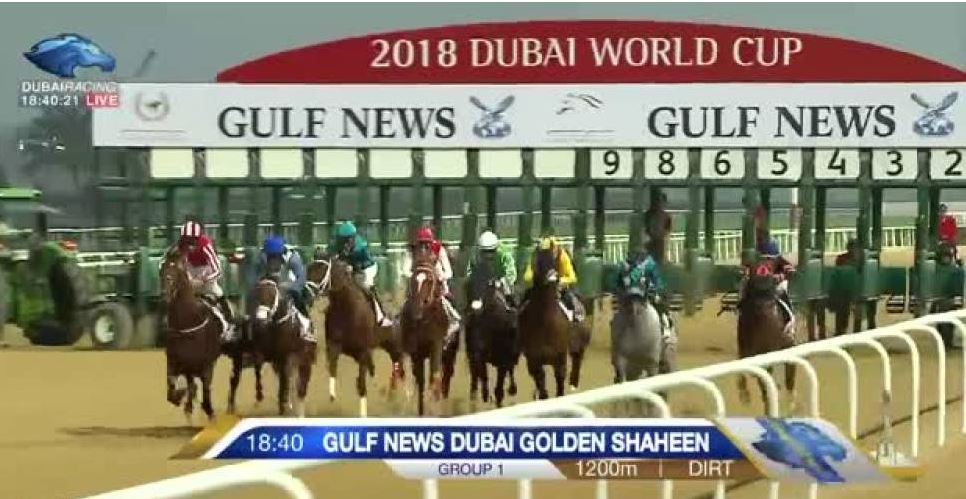 Dubai World Cup Starting Gate